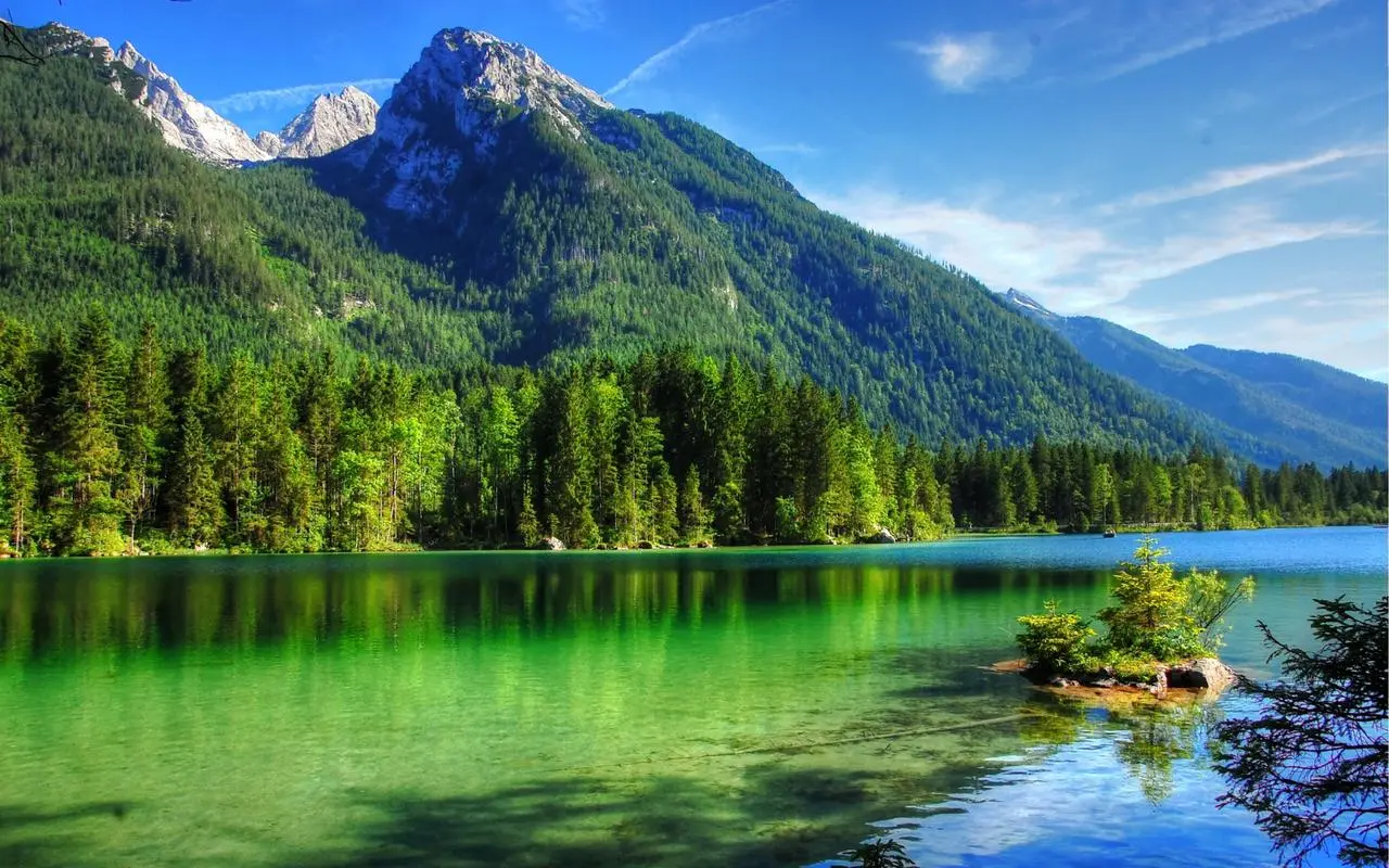 稳定性信息化